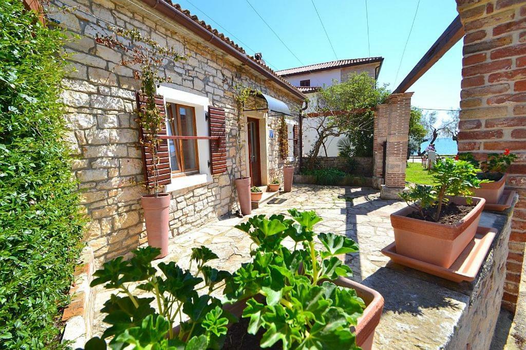 Villa Giardin Новиград Екстериор снимка